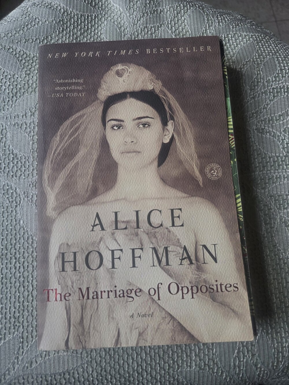 The Marriage of Opposites - Paperback Book, Beige Cover